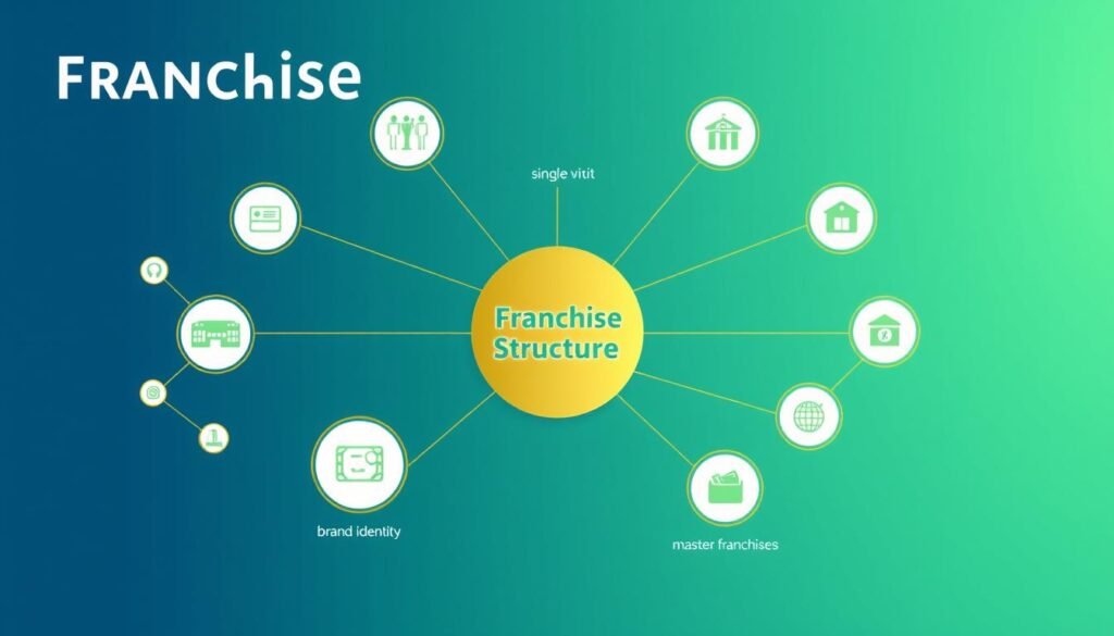 franchise structure options